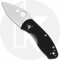 Spyderco Knives Spyderco Ambitious Knife, SP-C148GP